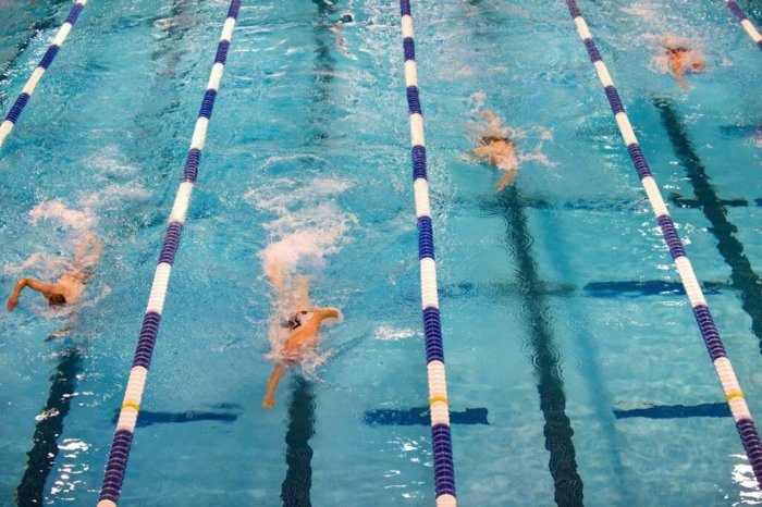 swimming-659903_1920 swimming-659903_1920